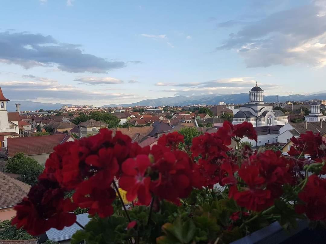 Sibiu Bach Penthouse Daire Dış mekan fotoğraf
